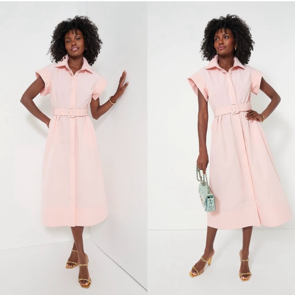 NWT Tuckernuck Chloe dress Medium Salt pink